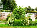 Grabstätte (Bildmitte, dicht bewachsen, ohne sichtbaren Grabstein) des deutschen Architekten Sep Ruf (1908-1982) auf dem Bergfriedhof in Gmund am Tegernsee, Landkreis Miesbach, Regierungsbezirk Oberbayern, Bayern.