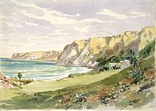 1874 watercolour painting, with Mrs Robinson's cottage behind the cabbage tree Gore Bay, 1874.jpg