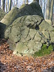 Granodiorit-Felsen des Weschnitzplutons mit Wollsack-Verwitterungsspuren. (Opfersteine-Gruppe auf der Juhöhe)