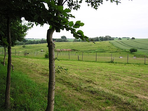 Grasweg Bodenwerder