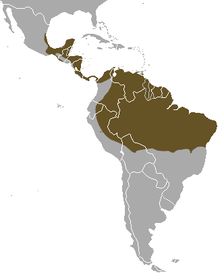Kart over Amerika med et stort farget område over Mellom-Amerika og Nord-Sør-Amerika