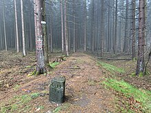 Old boundary stone one the Limes border wall of the Roman Empire Grenzstein Limes Feldberg Taunus.jpg