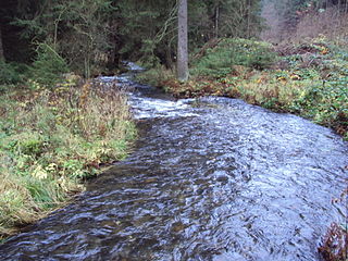 Grumbach (Innerste) River in Germany