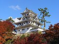 秋の紅葉と郡上八幡城（石垣の一本松を伐採する前）