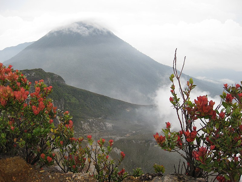 File:Gunung Pangrango Terlihat Dari Puncak Gunung Gede di Taman Nasional Gunung Gede Pangrango.jpg