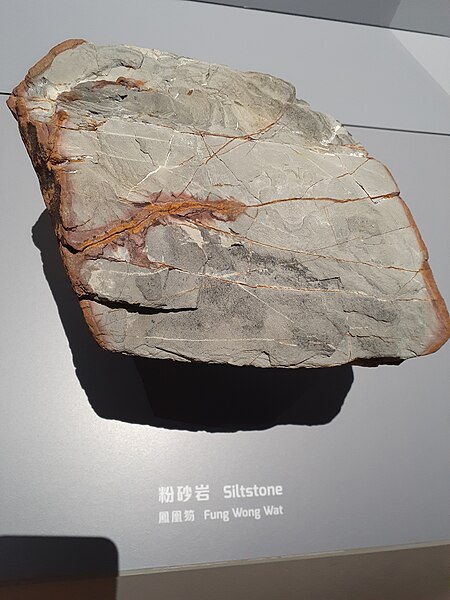 File:HK TST East 香港科學館 Hong Kong Science Museum HKSM exhibit rock samples April 2021 SS2 19.jpg