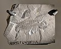 * Nomination Habelia optata specimen collected from the Burgess Shale on display at the Royal Ontario Museum. --The Cosmonaut 01:05, 6 April 2020 (UTC) * Decline  Oppose Very small, yet still full of JPG artifacts --Podzemnik 01:10, 6 April 2020 (UTC)