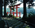 Tori iz svetišča v Hakoneju ob jezeru Ashi