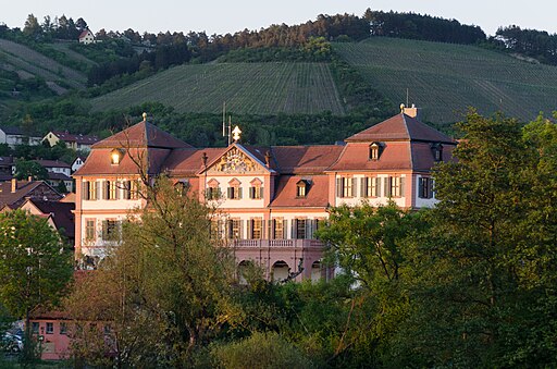 Hammelburg, Schloss von Westen-003