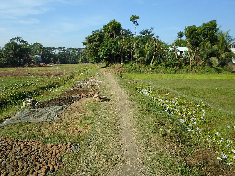 File:Harikhali new road - panoramio (1).jpg