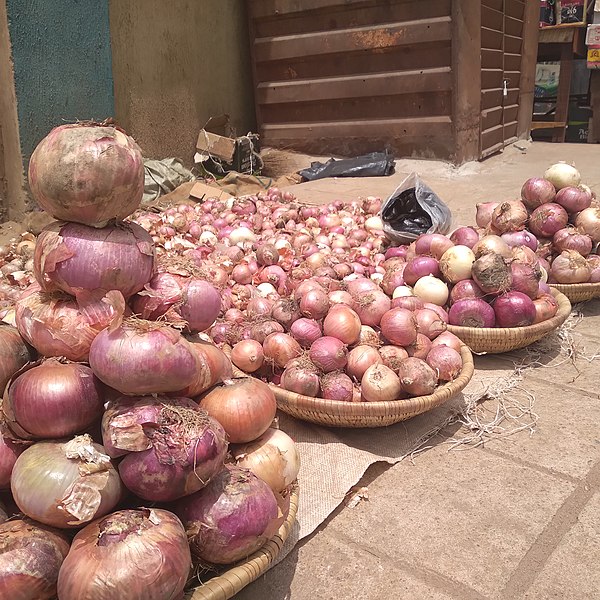 File:Hausa alubasa, alubosa, onion bulbs itoku market onion merchant 01.jpg