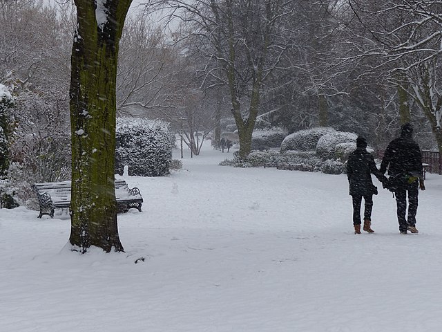 640px-Heavy_snow_at_the_Castle_Gardens_-_geograph.org.uk_-_3314950.jpg (640×480)