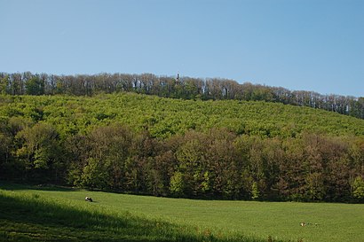 How to get to Hermannskogel with public transit - About the place