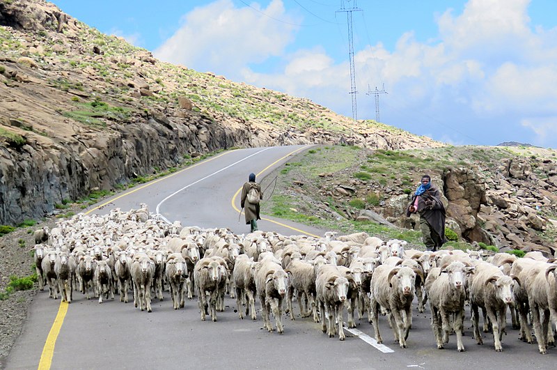 File:High mountain Shepherds.jpg