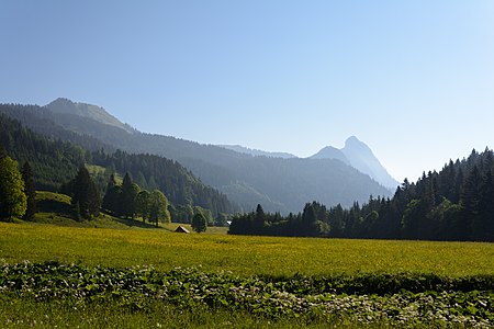 The Hochtausing mountain in the Totes Gebirge viewed from lake Spechtensee in Wörschachwald, Styria