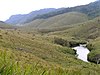 a stream in Horton Plains National Park