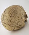 Human skull inscribed with prayers for the deceased Wellcome L0035629.jpg