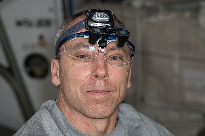 File:ISS-56 Drew Feustel inspects hatch seals, parts and surfaces.jpg