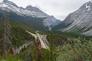 Alberta Highway 93 Provincial highway in Banff and Jasper national parks in Alberta, Canada