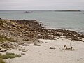 Île de Batz : une plage 2