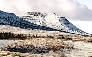 <span class="mw-page-title-main">Ingleborough</span> Mountain in the Yorkshire Dales, England