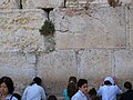 Jerusalem 9-14 109 (2940458638).jpg