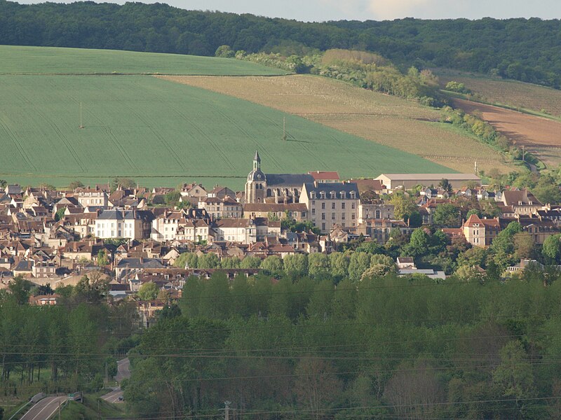 File:Joigny-FR-89-vue au loin-02.jpg