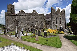 Kilmallock Collegiate Church - geograph.org.uk - 1391962.jpg