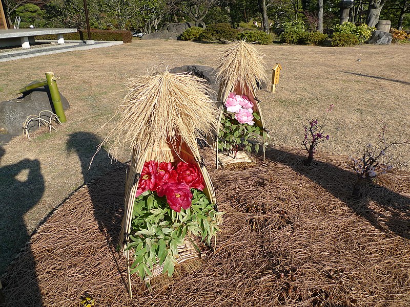 File:Kiyosumi Teien Garden (11926034996).jpg