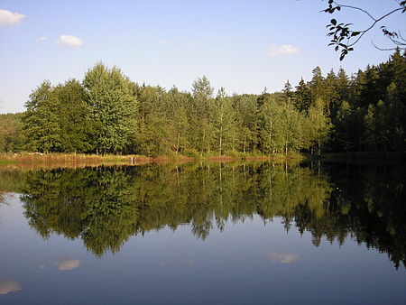 Kleiner Streichteich Ilmenau