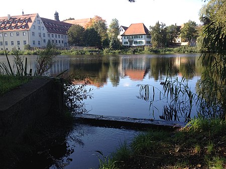 Klosterweiher Wald 02