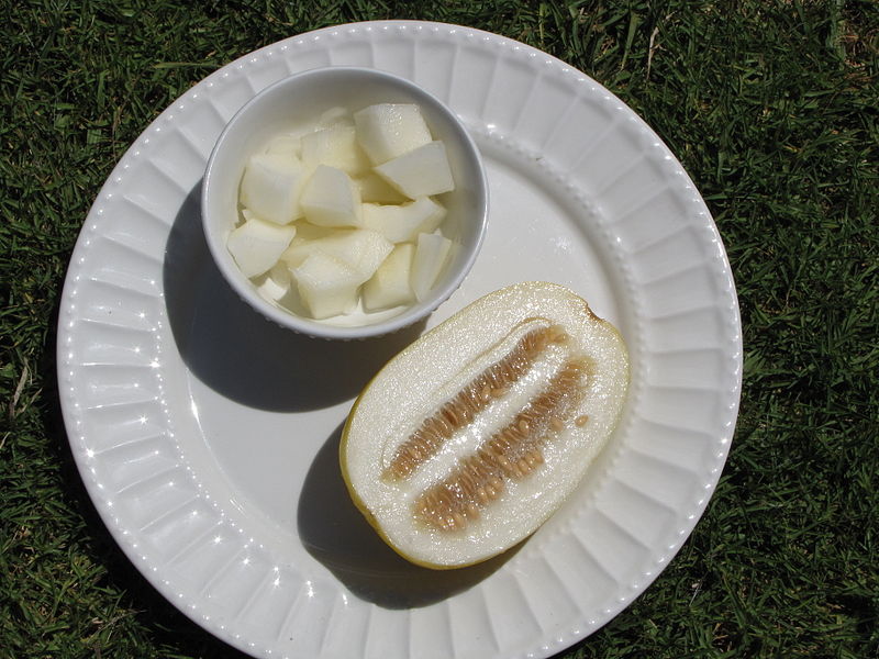 File:Korean melon longitudinal.jpg