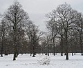 Large ball of snow in Kensington Gardens - geograph.org.uk - 2222911.jpg