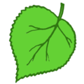 녹색 나뭇잎 아이콘