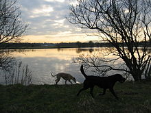 Levenhall boating lake LevenhallBoatingLake.jpg