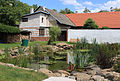 Čeština: Soukromý rybníček na návsi ve Vlasenici, části obce Lhota-Vlasenice English: Small common pond in Vlasenice, part of Lhota-Vlasenice, Czech Republic.