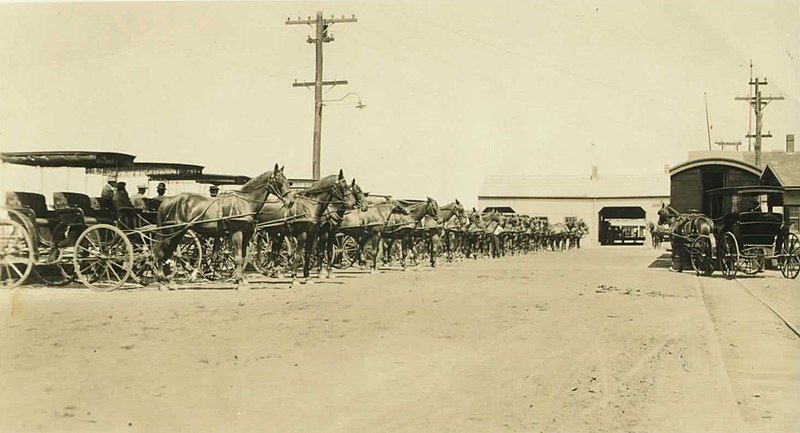 File:Line of Taxis, c. 1900s (3346521567).jpg