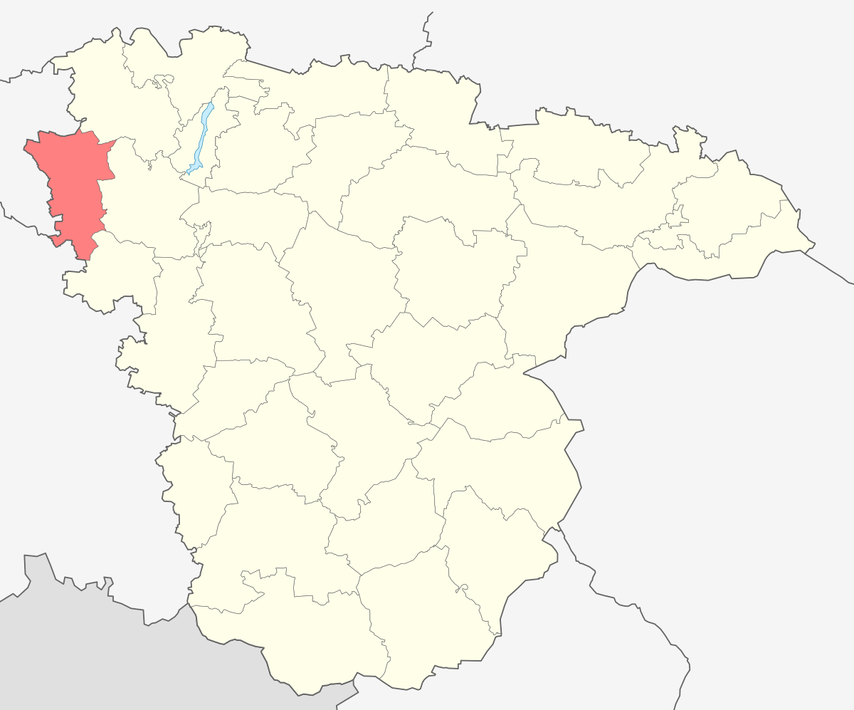 Nizhnedevitsky District