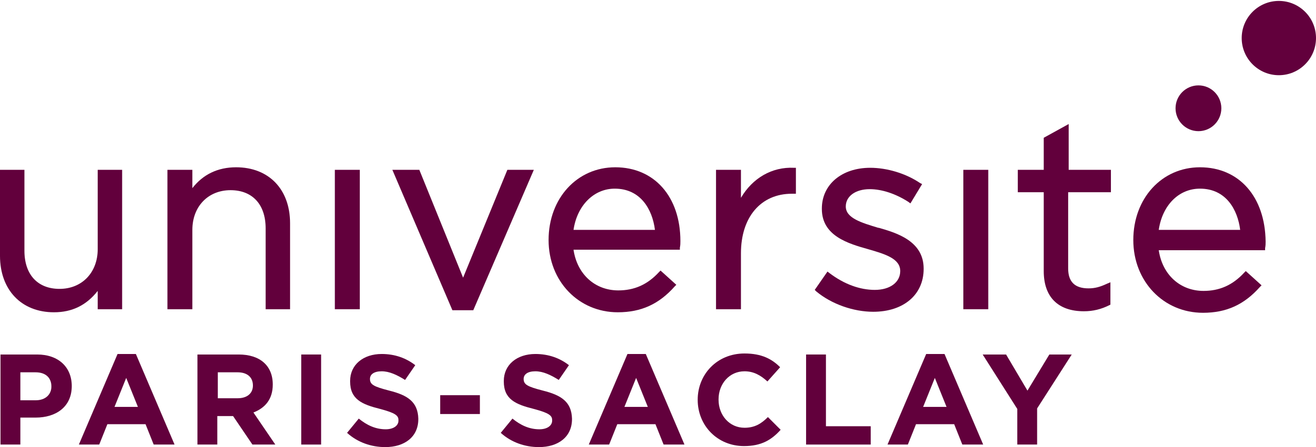 Fichier:Logo Université Paris-Saclay.svg — Wikipédia