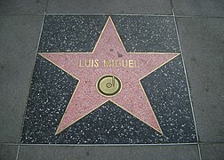 Luis Miguel Hollywood Star.jpg