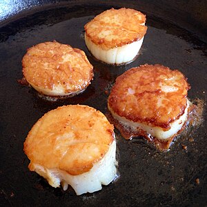 Scallop