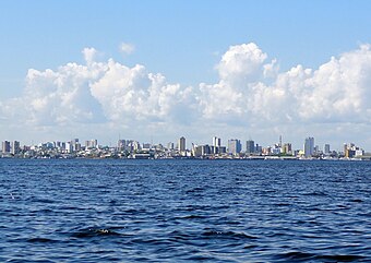 Manaus vista do rio.jpg