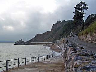 <span class="mw-page-title-main">Meadfoot Sea Road</span> Geological Site of Special Scientific Interest in Devon, England