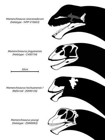 Mamenchisaurus Wikiwand