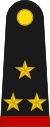 Mexico army OF5.svg