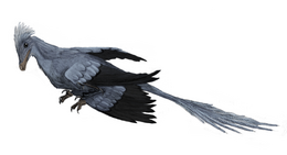 A Microraptor művészi rekonstrukciója