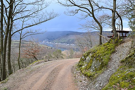 Middle Rhine, Germany - view from Burg Sooneck