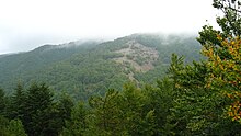 Estese foreste di faggi ed abeti bianchi ammantano i versanti nord-occidentali dei monti Arioso e Pierfaone.