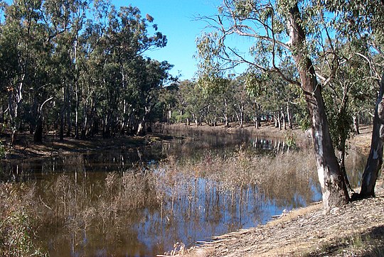 Река дарлинг полноводна. Река Муррей в Австралии. Муррей и Дарлинг. Реки Дарлинг и Муррей. Река Дарлинг в Австралии.