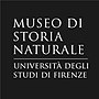 Vignette pour Musée d'histoire naturelle de l'université de Florence